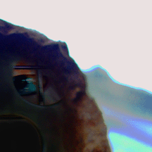 mimiscape