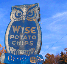 Wise Owl